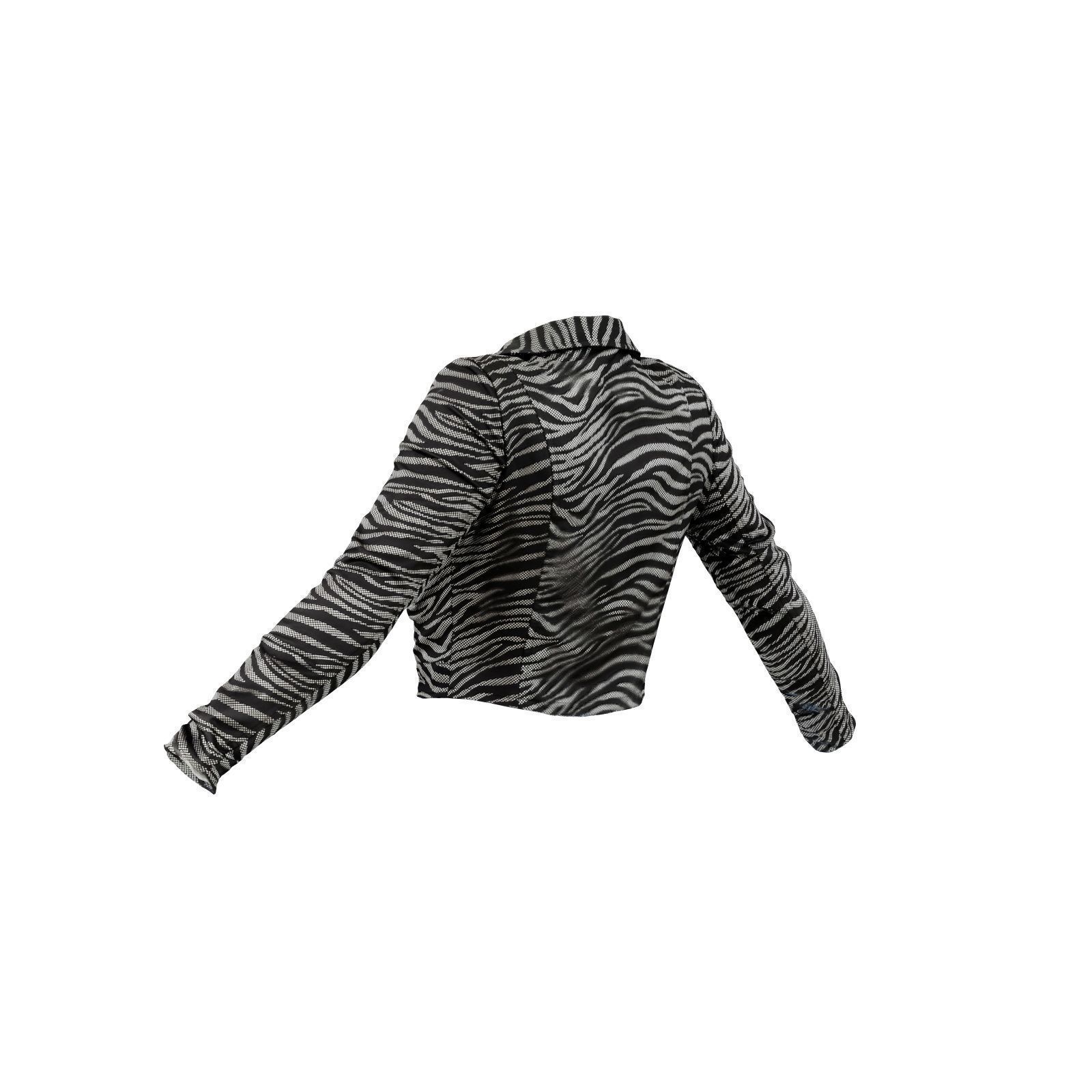 Silver Zebra Jacket 3D model_3