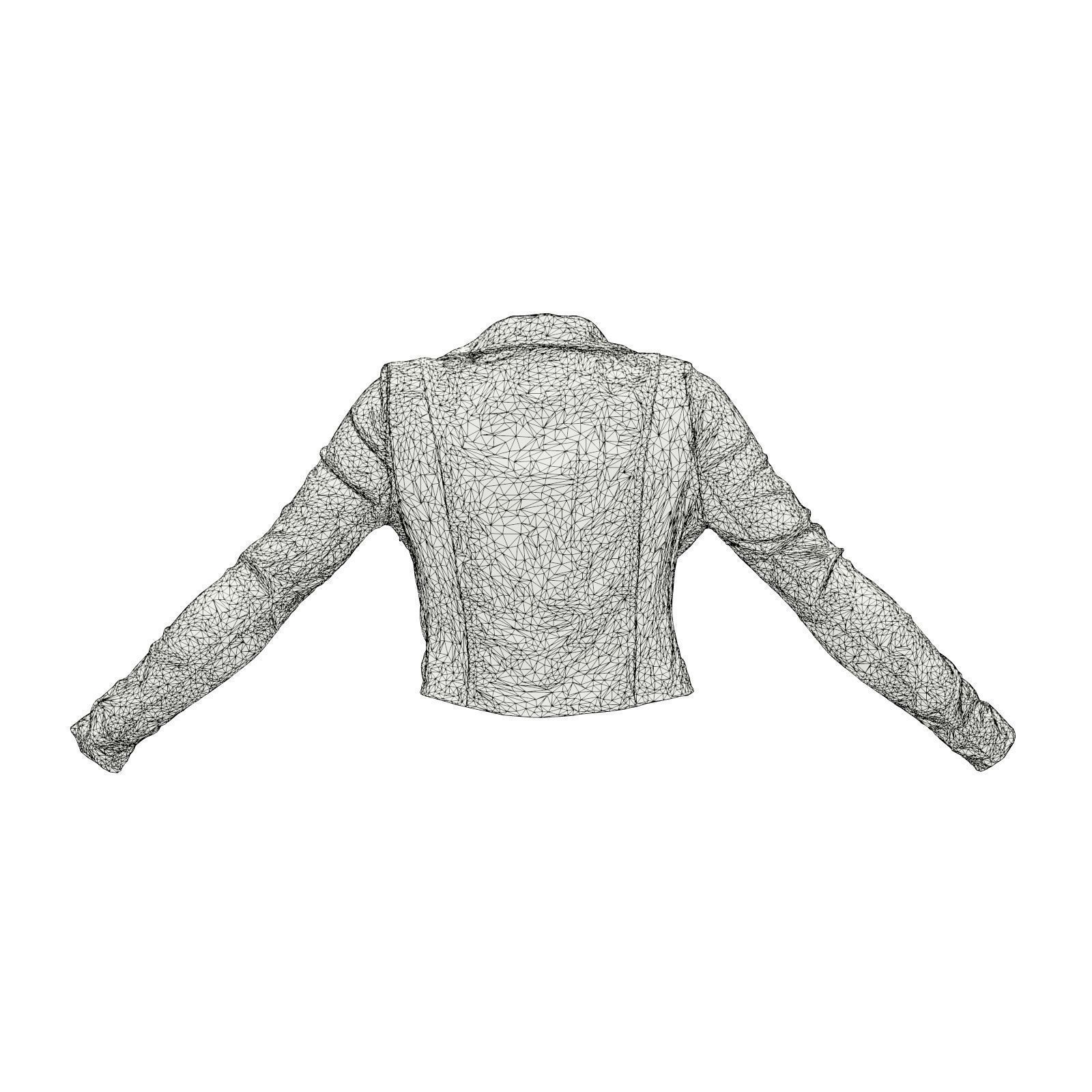 Silver Zebra Jacket 3D model_7