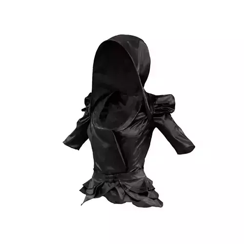 Shrug Dress 3D model