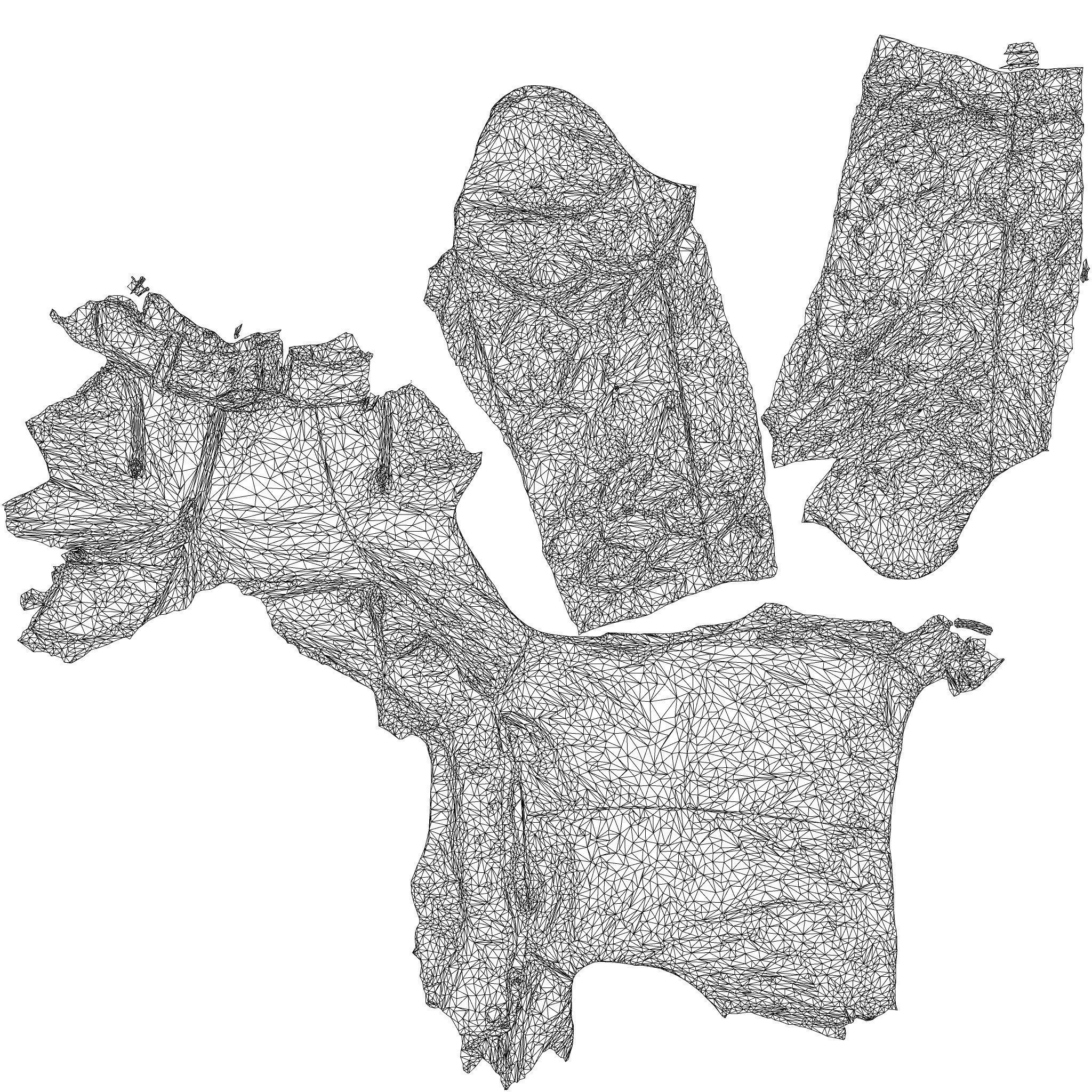 Shiny Tiger Jacket 3D model_8