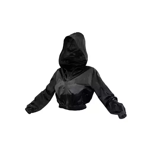 Shiny Hoodie Jacket 3D model