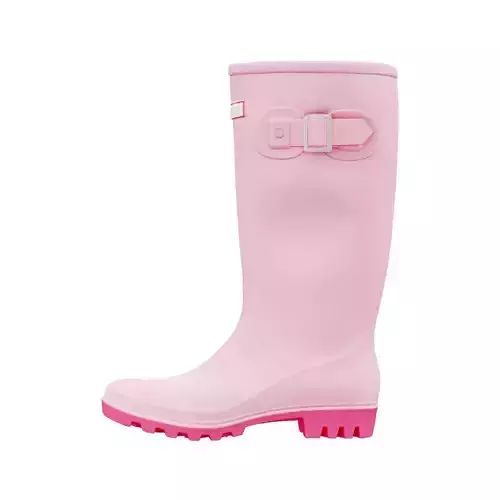 Rain Boots 3D model