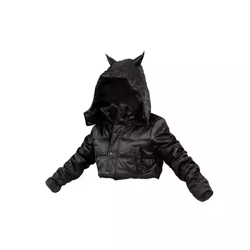 Pointy Ears Vinyl Hoodie 3D model
