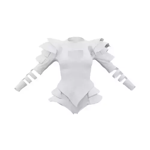 Pagode Bodysuit 3D model