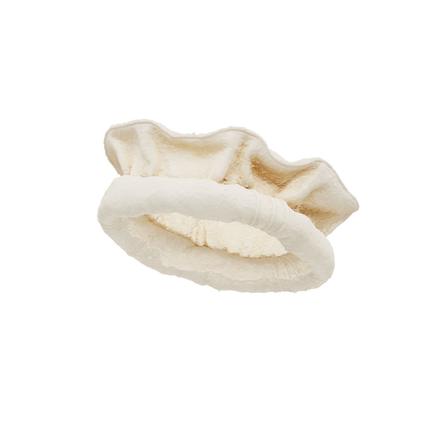 Oister Hat 3D model_3