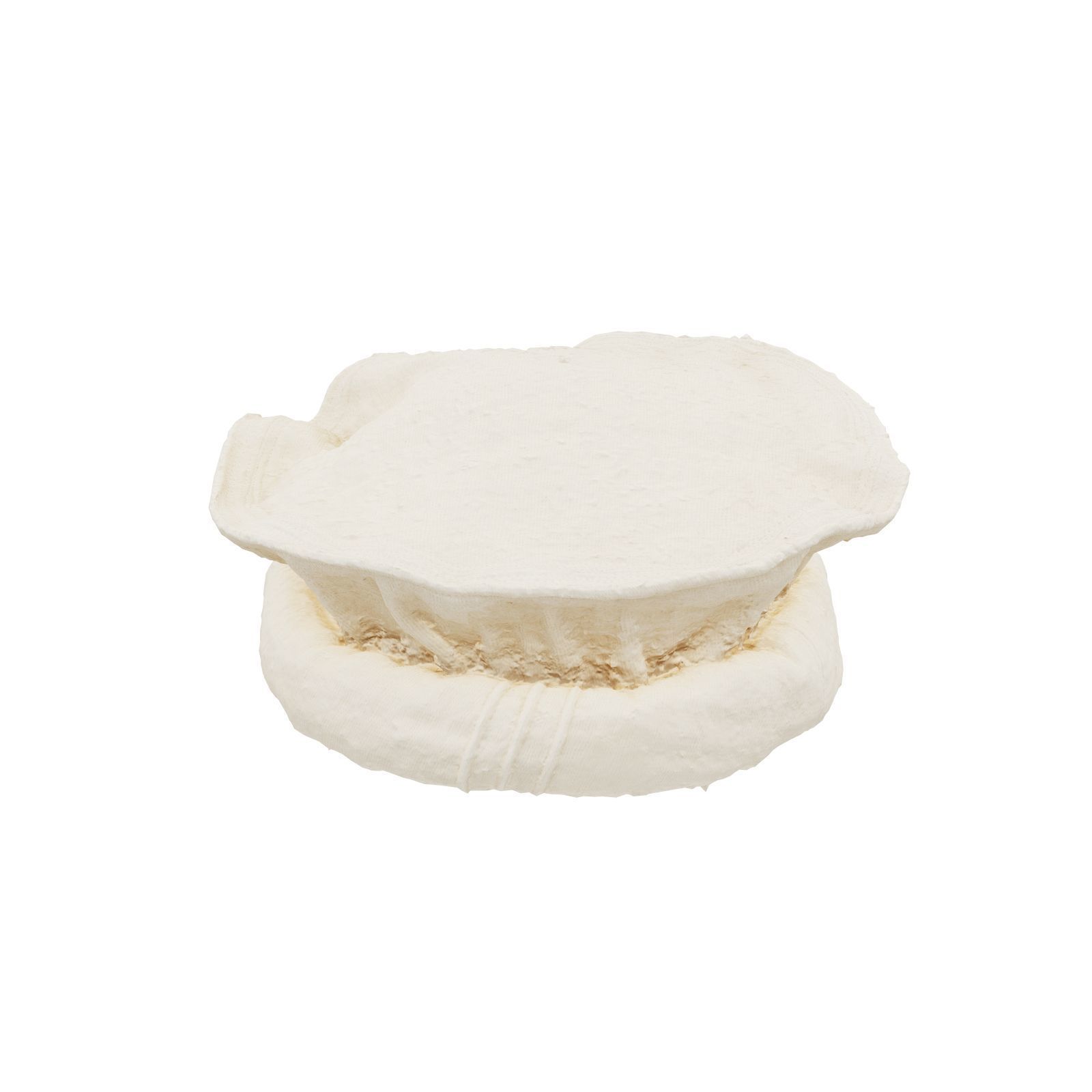 Oister Hat 3D model_2