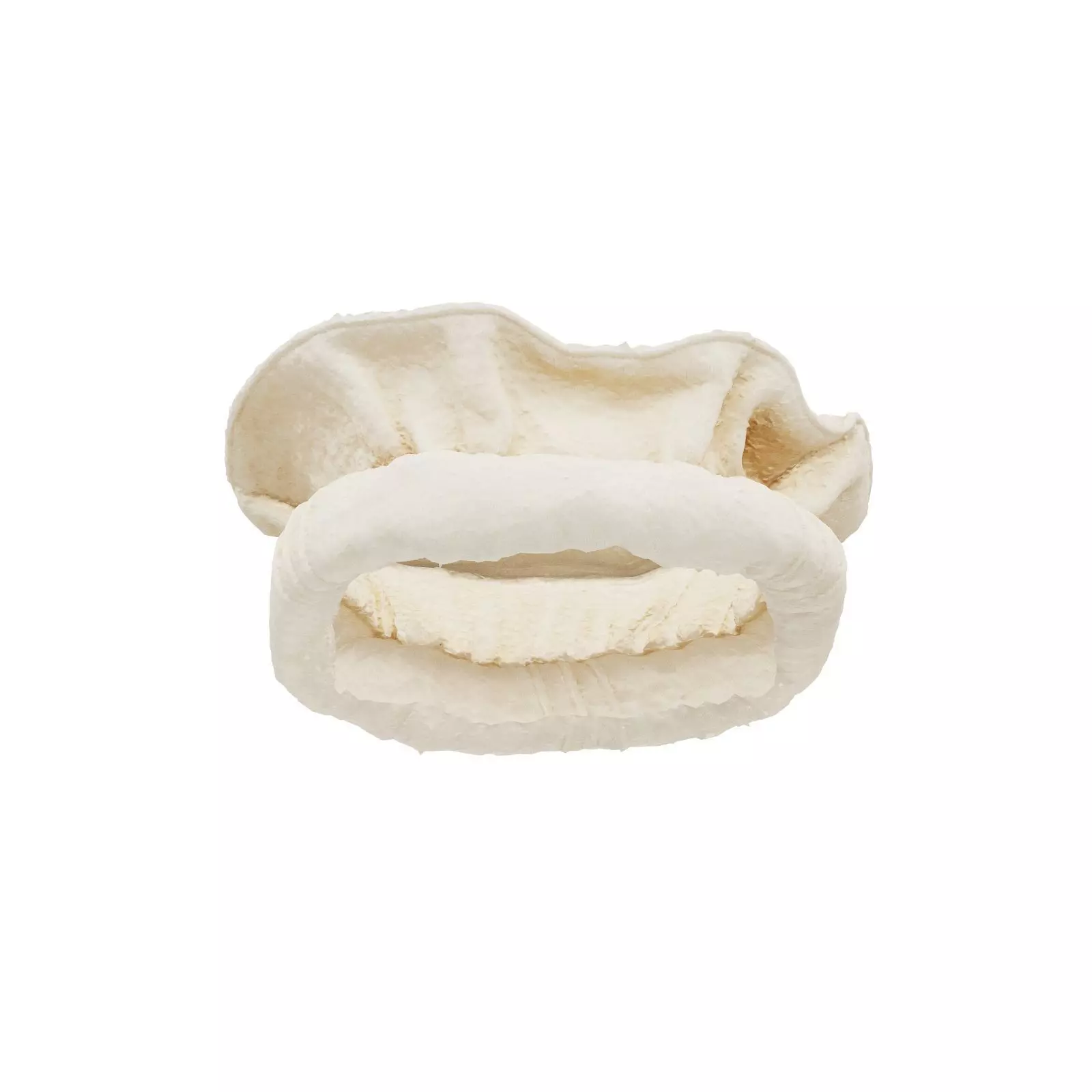 Oister Hat 3D model_0