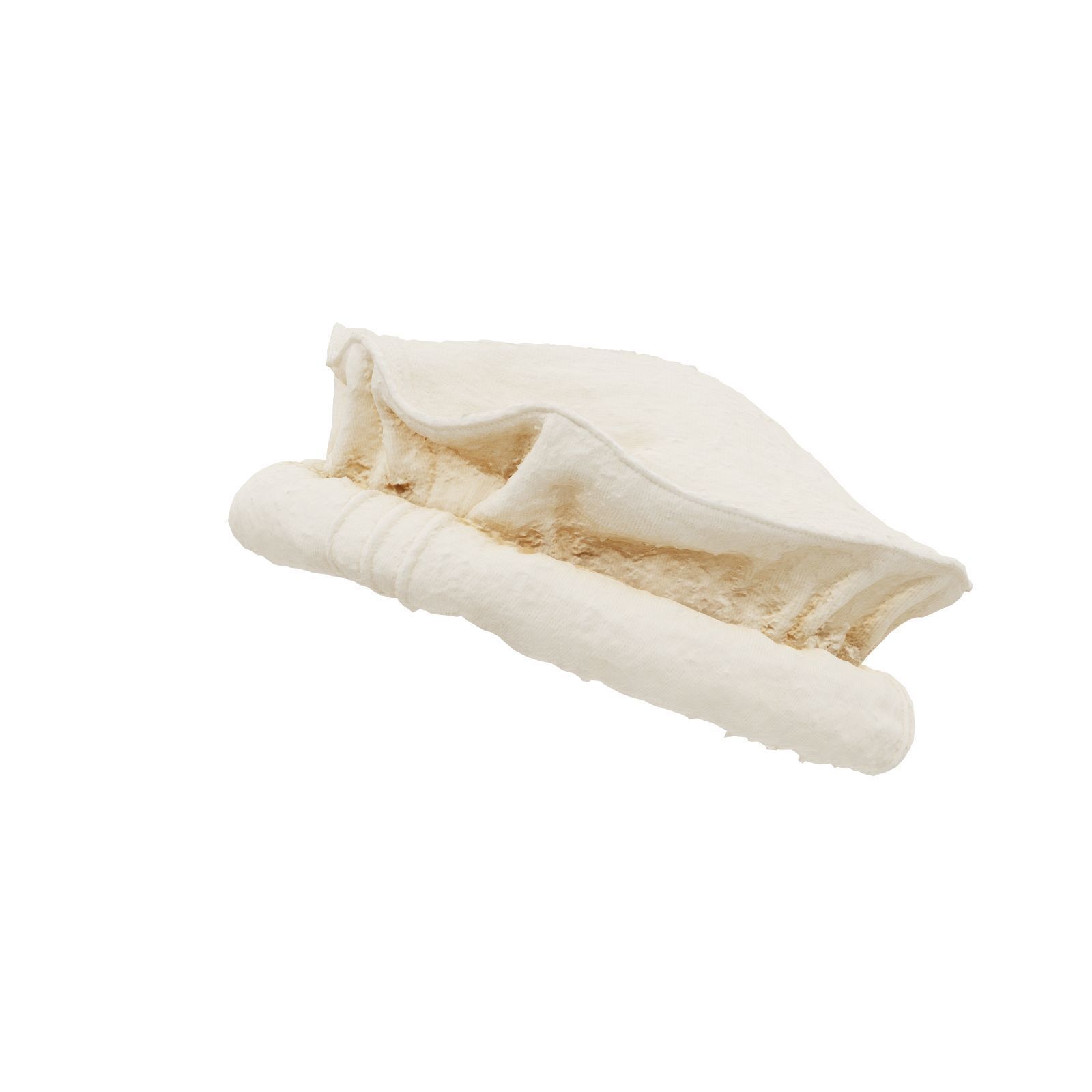 Oister Hat 3D model_1