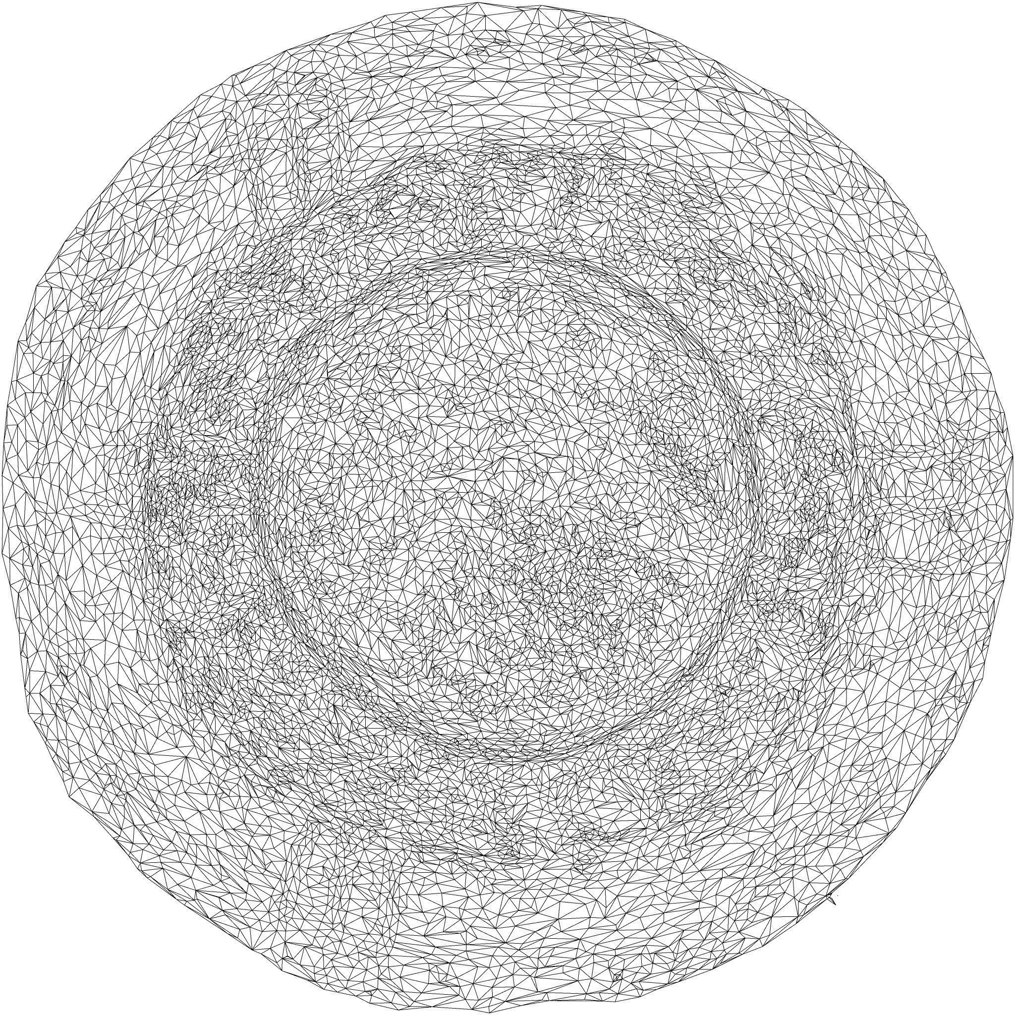 Oister Hat 3D model_8