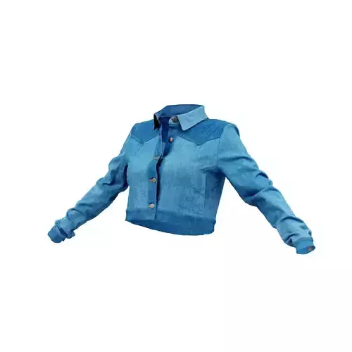 Neat Jeans Jacket 3D model
