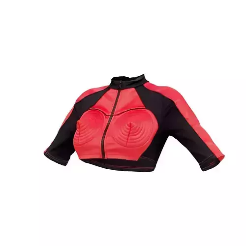 Moto Point Top 3D model