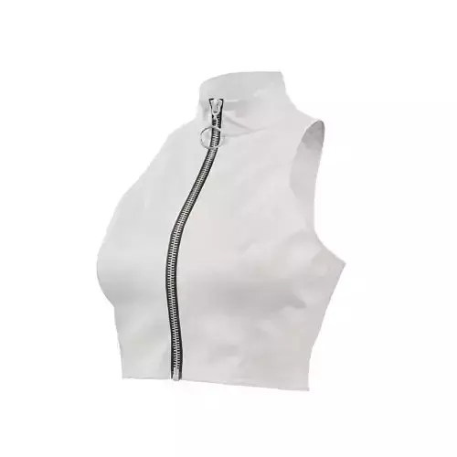 Metallic Top 3D model