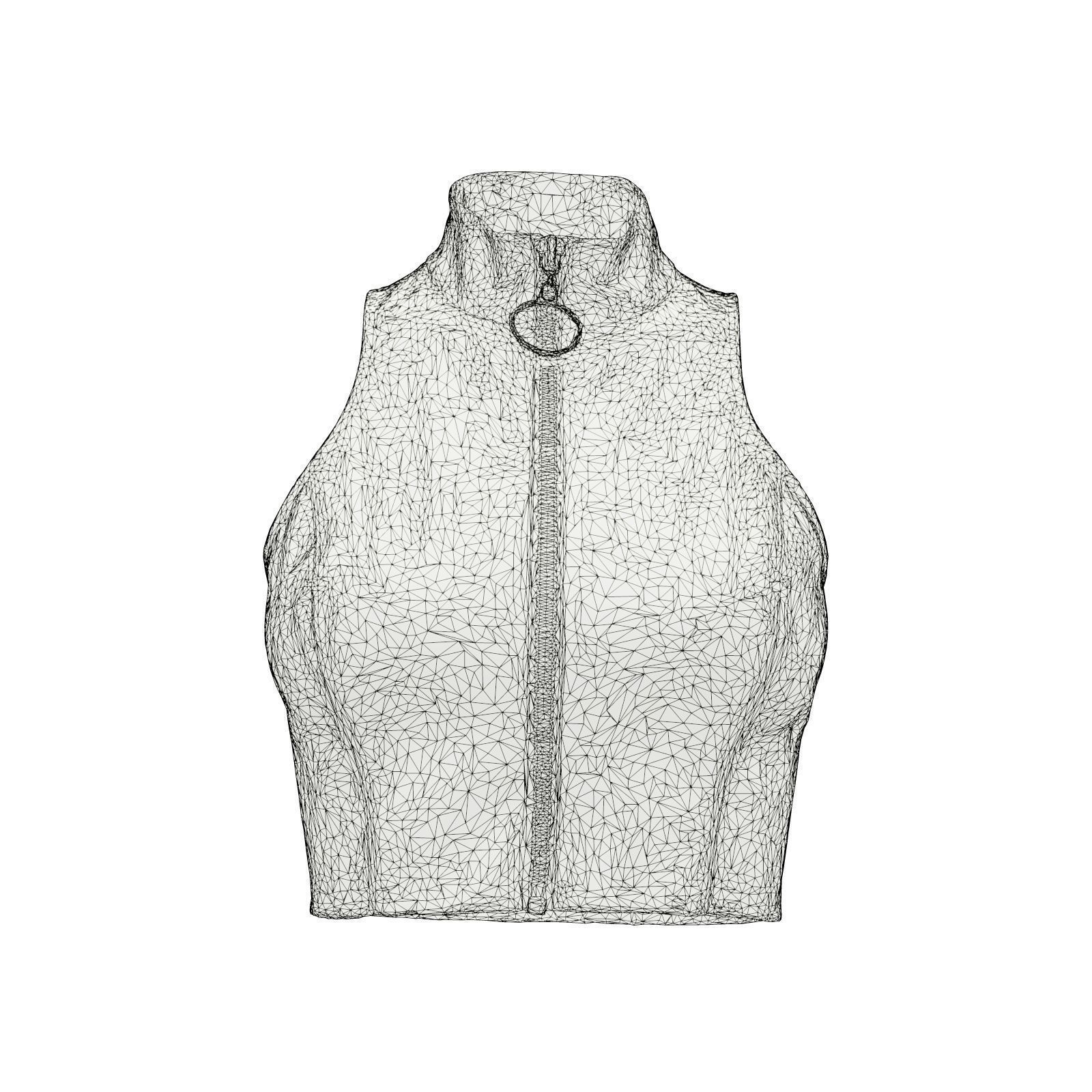 Metallic Top 3D model_6