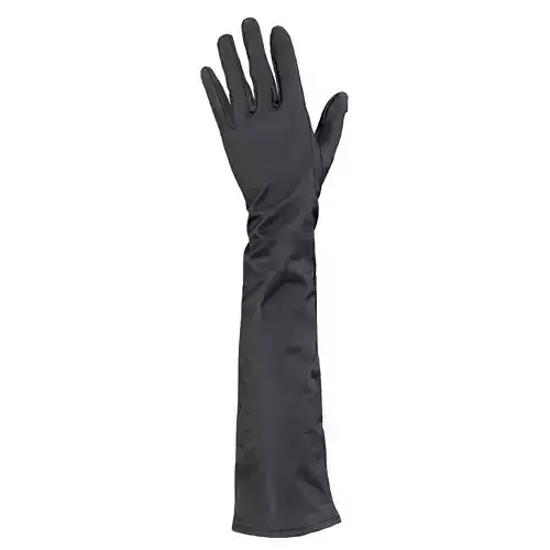 Long Leather Gloves 3D model
