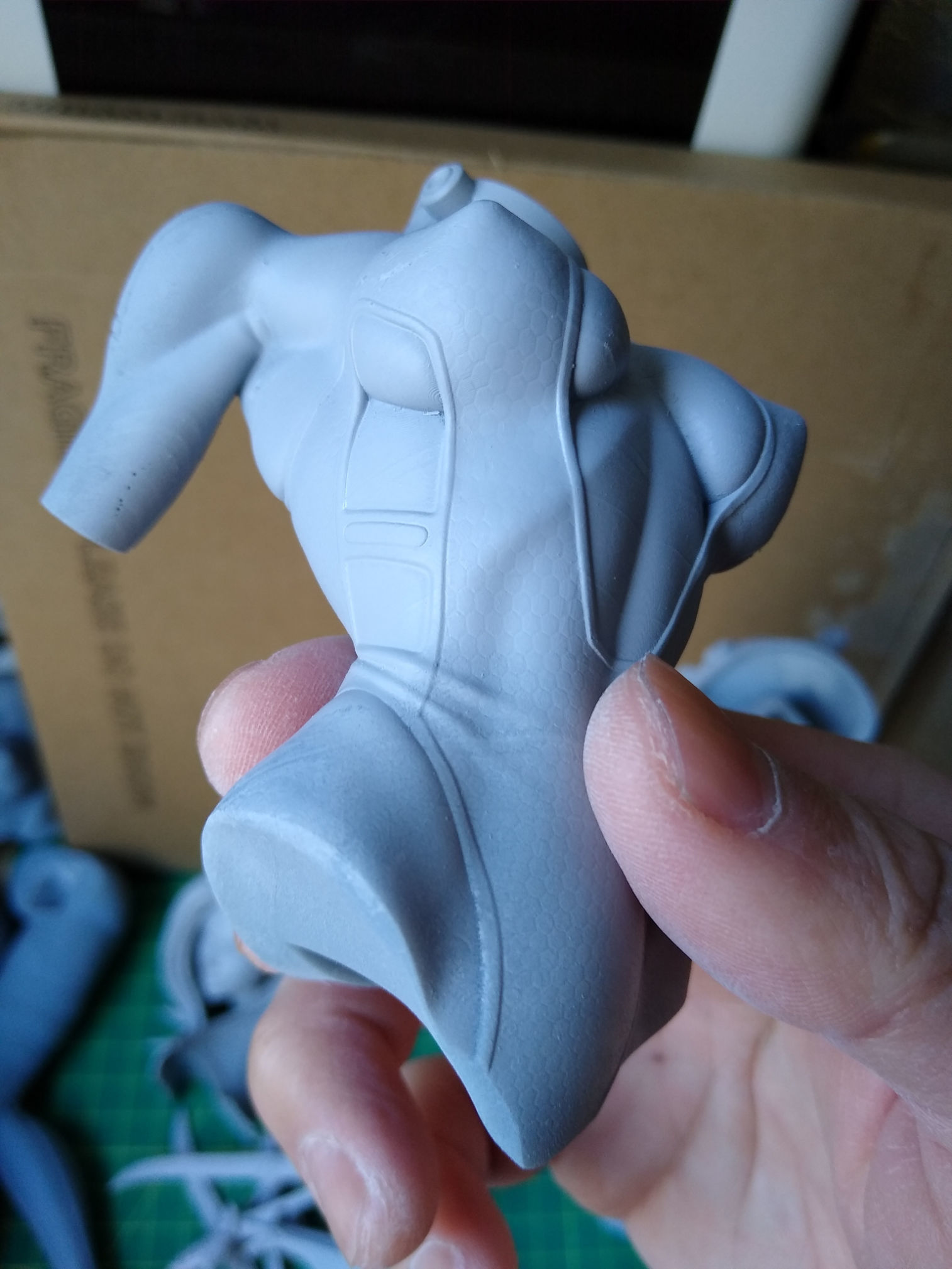 Cyberpunk Girl Blossom Multi Versions SFW NSFW STL 3D print model_38