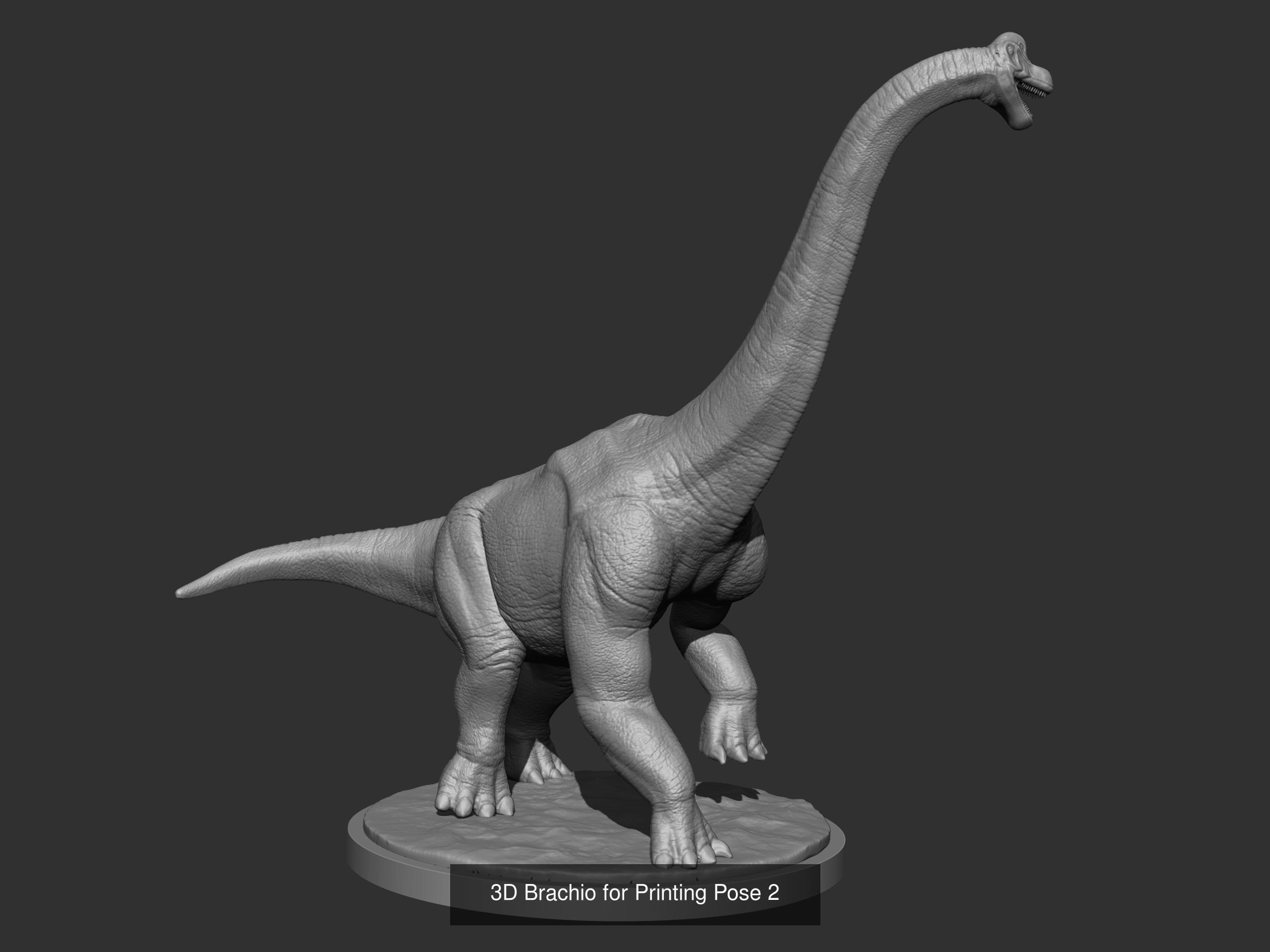 3D Brachio for Printing Collection _2