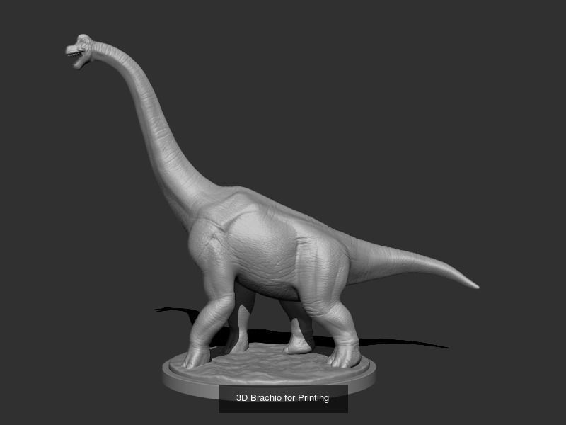 3D Brachio for Printing Collection _1