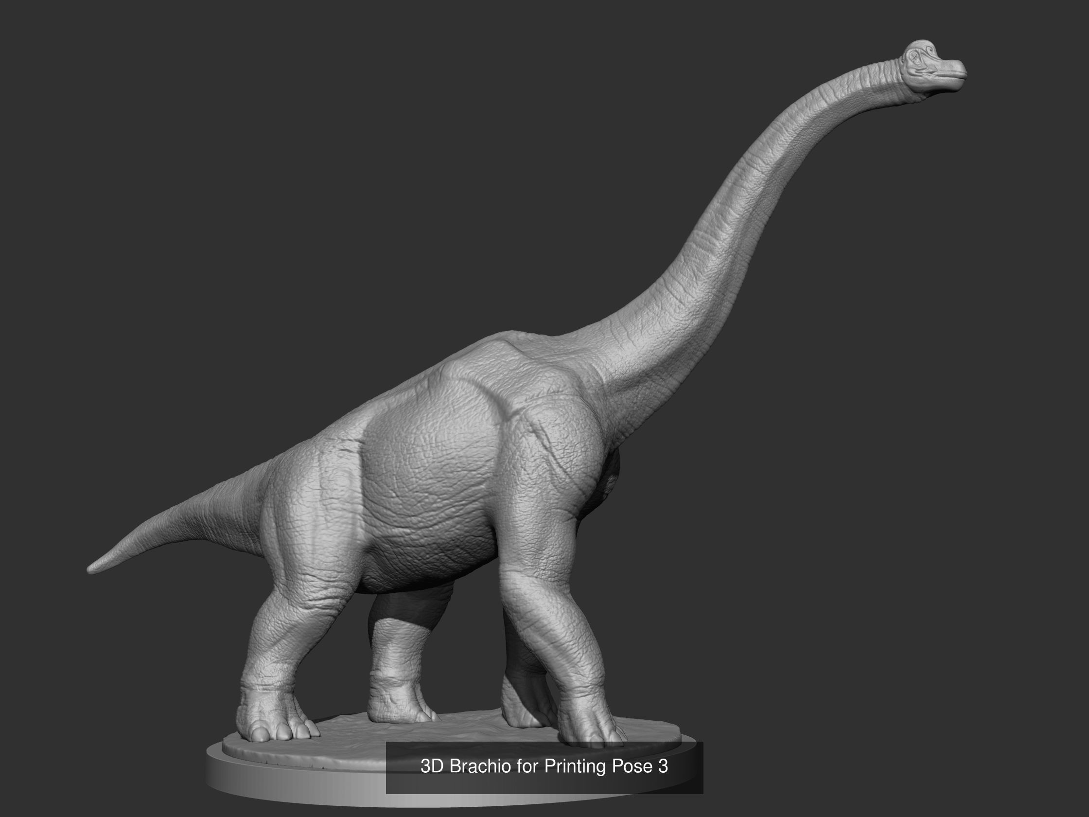 3D Brachio for Printing Collection _3