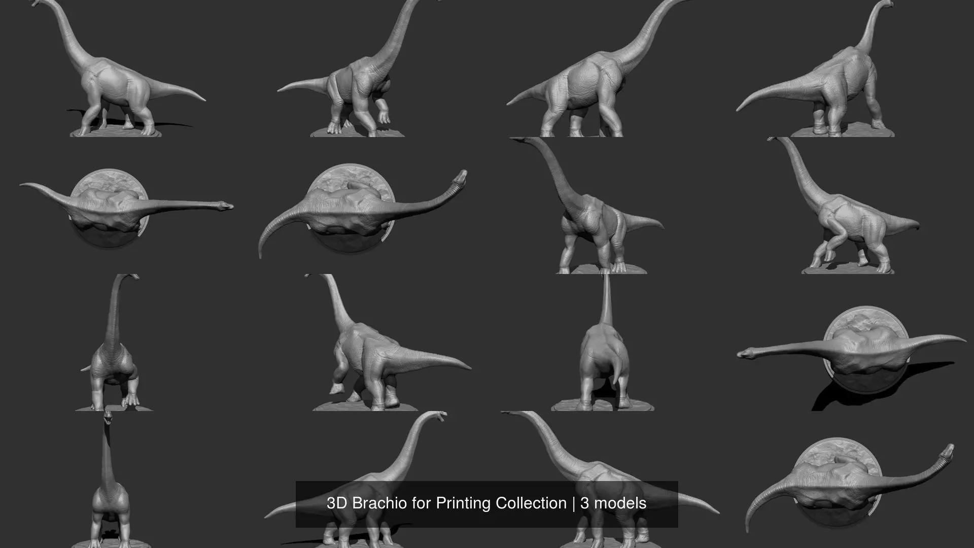 3D Brachio for Printing Collection _0