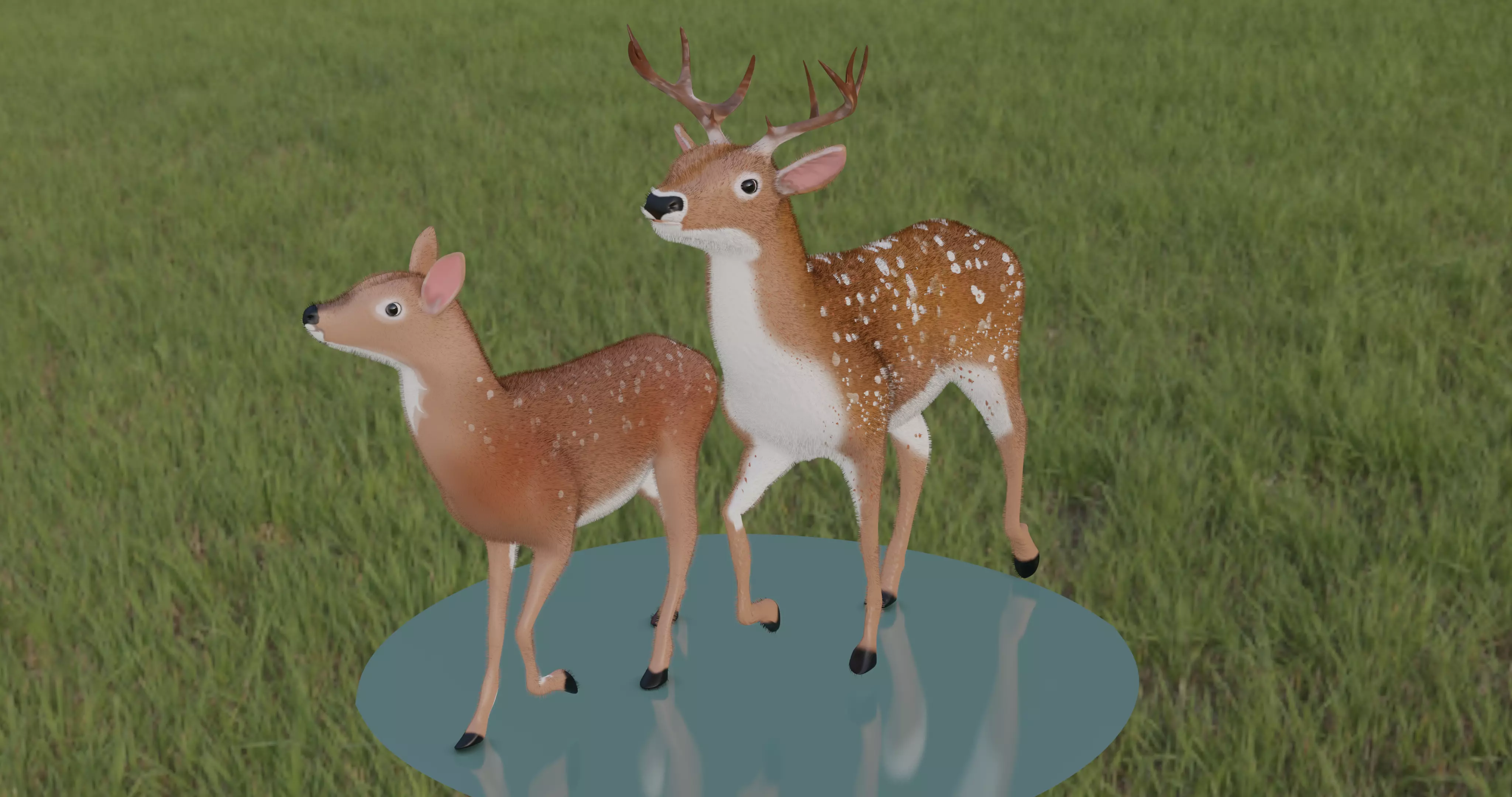 Female and Male deer Low-poly 3D model