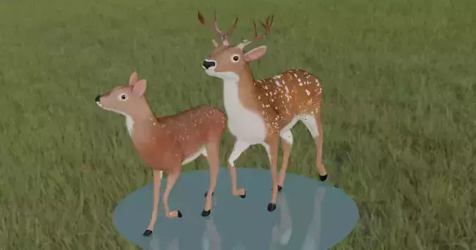 Female and Male deer 