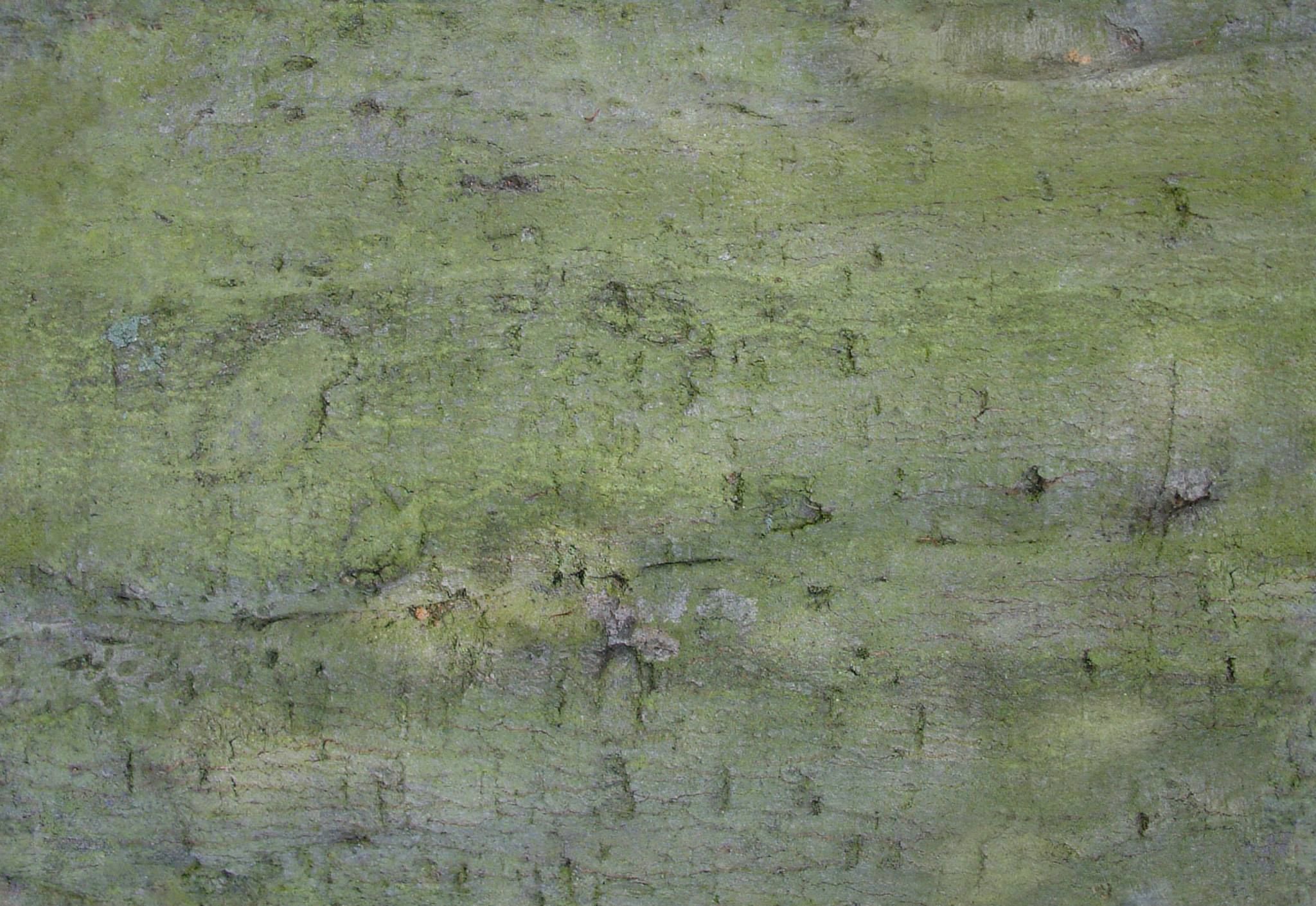 Painting abstraction v1 3D print model_2