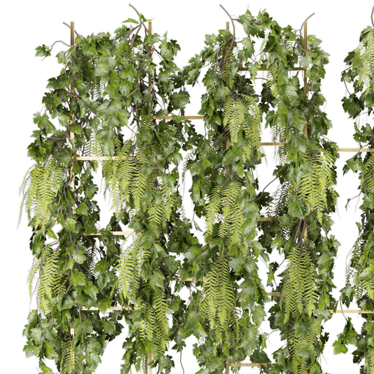 Collection plant vol 62 3D model_2