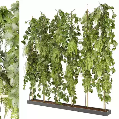 Collection plant vol 62 3D model