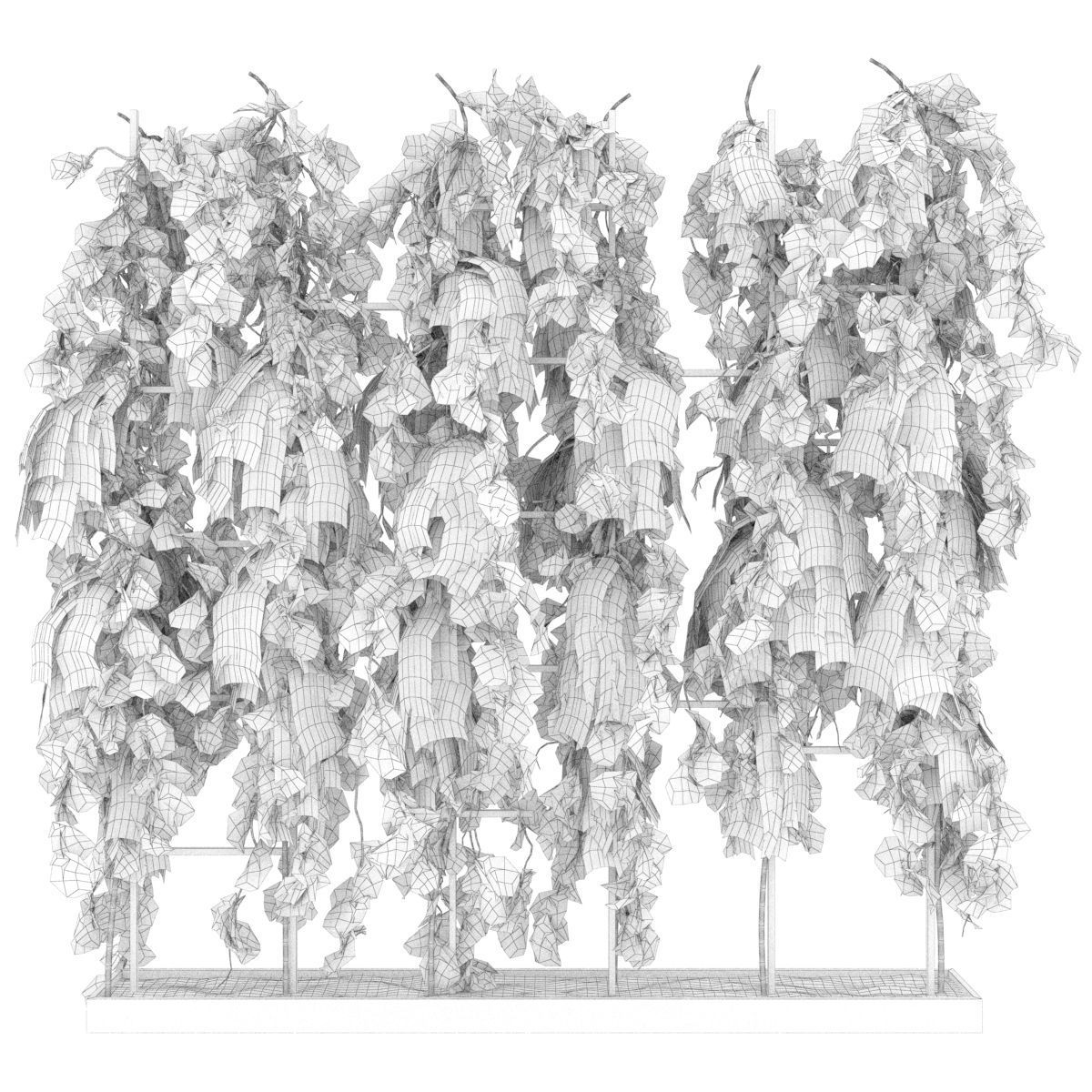 Collection plant vol 62 3D model_3