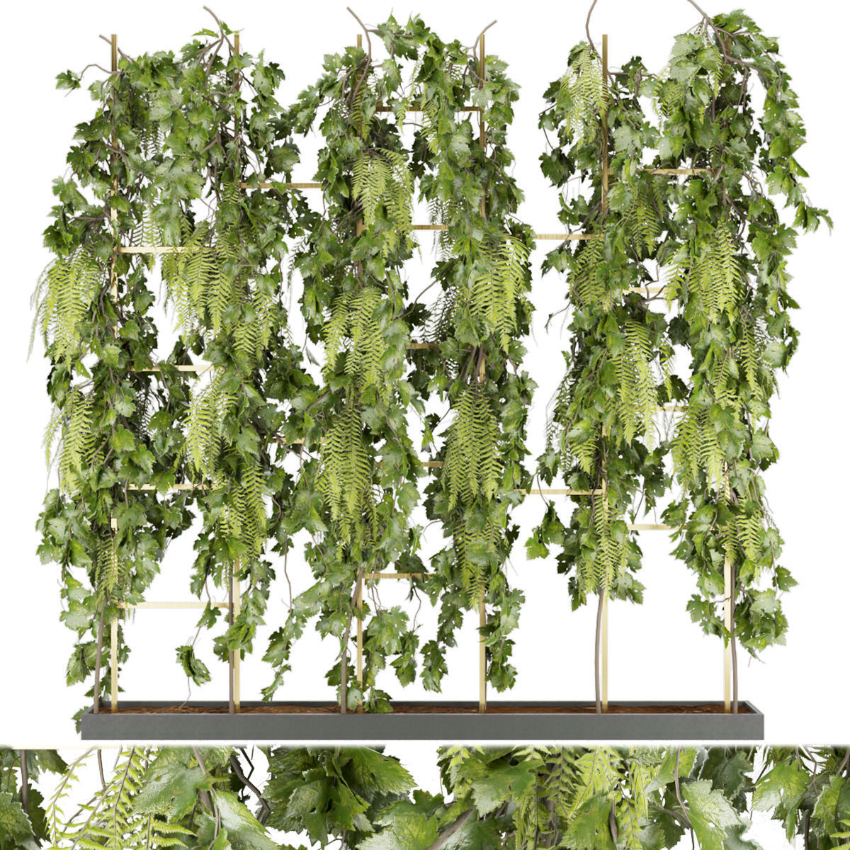 Collection plant vol 62 3D model_1