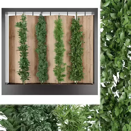 Collection plant vol 63 3D model