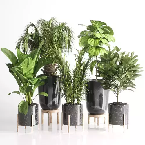 collection Indoor plant 34 -marble vase 3D model