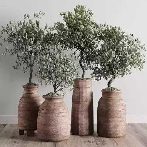 collection outdoor plant 19 -wood old vase