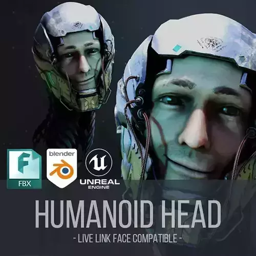 Photorealistic Humanoid Head