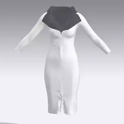 TRENCHCOAT dress with collar