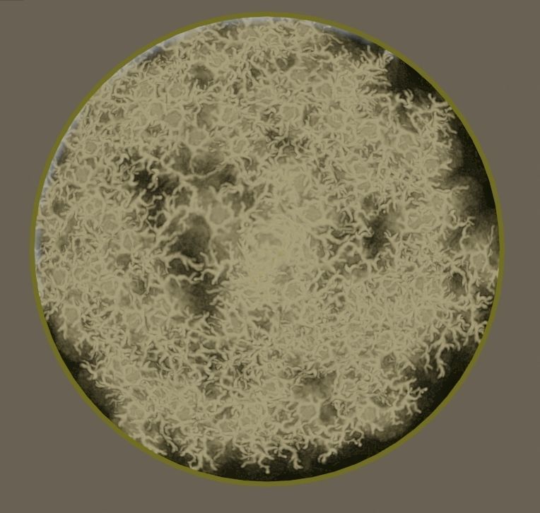 Dish of golden lightning 3D model_3