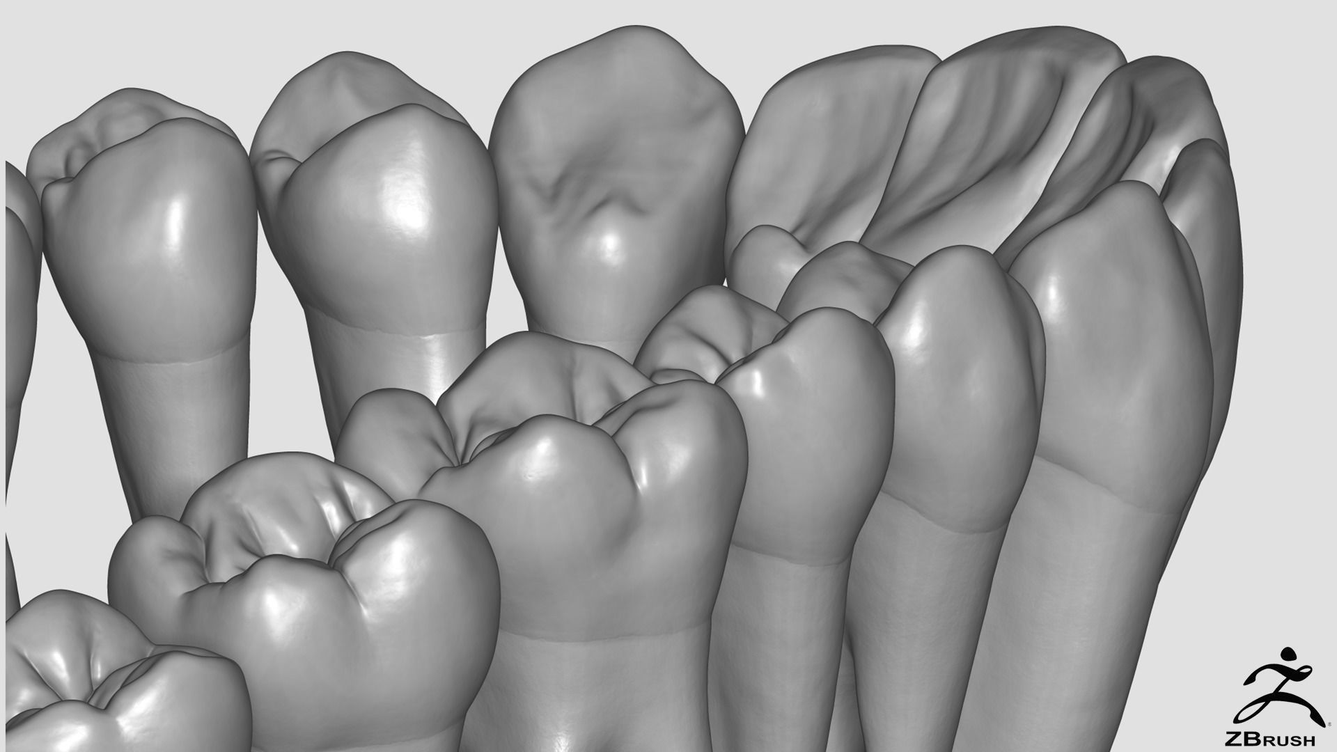 High Poly Teeth tooth 3D model_1