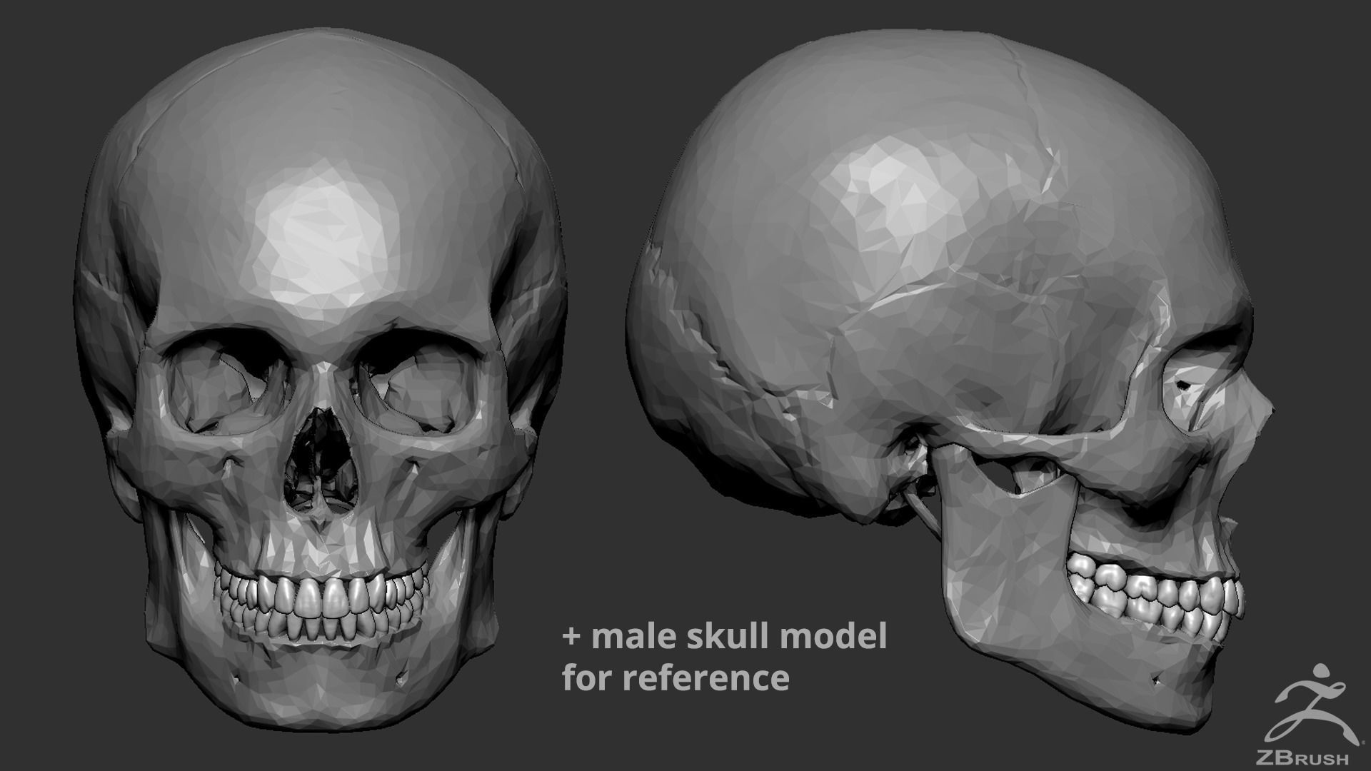 High Poly Teeth tooth 3D model_6
