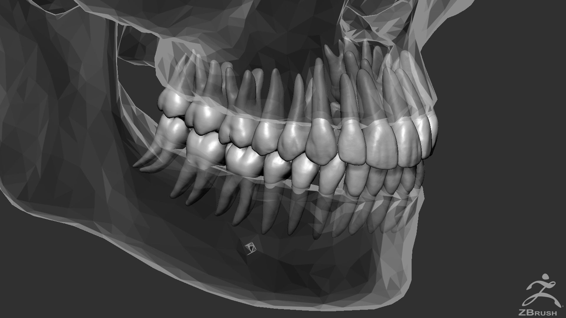 High Poly Teeth tooth 3D model_7