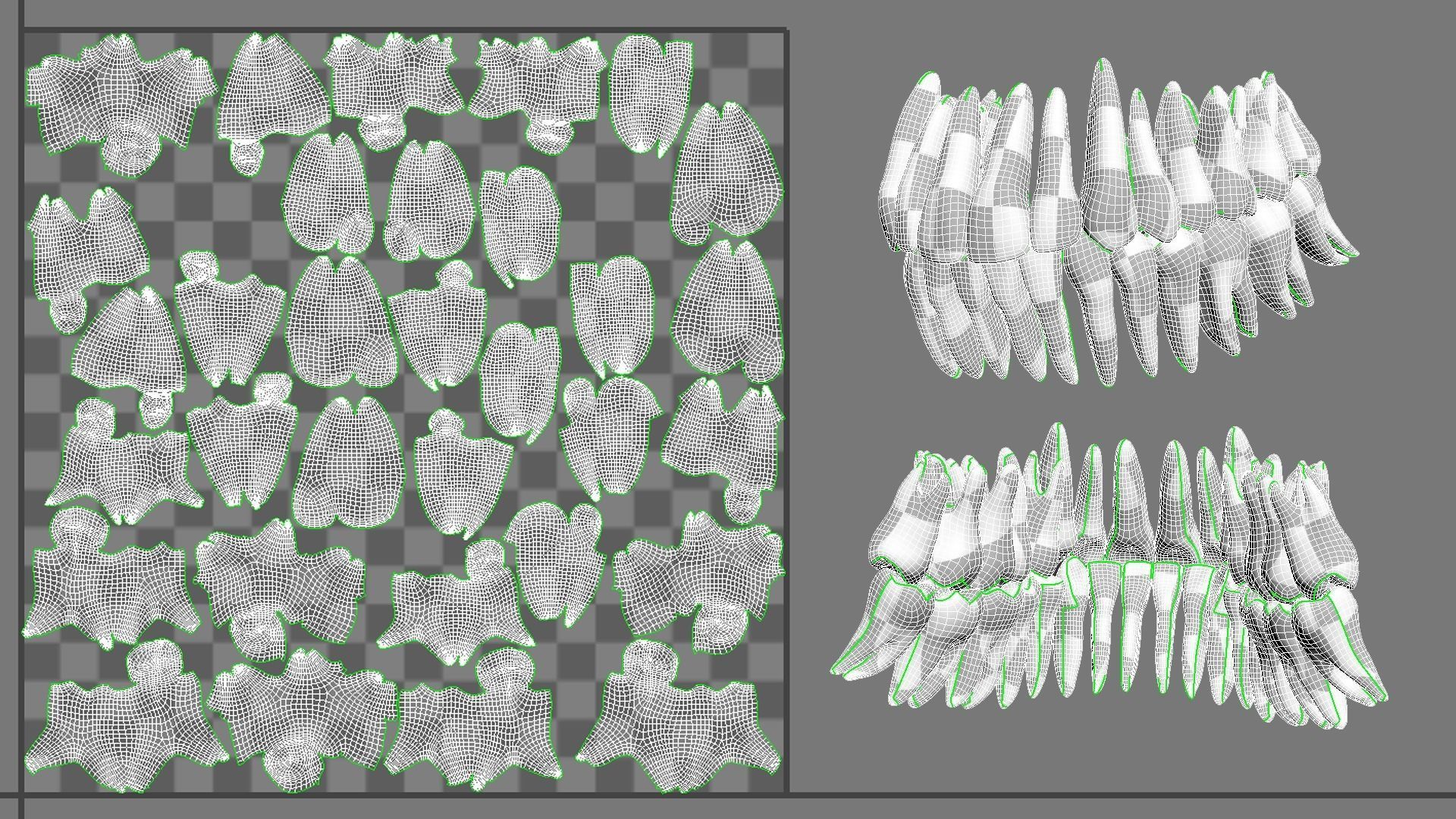 High Poly Teeth tooth 3D model_10
