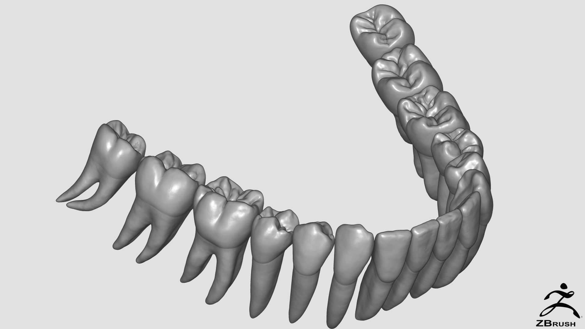 High Poly Teeth tooth 3D model_2