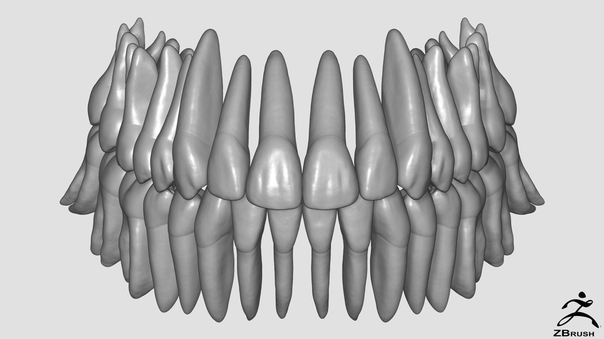 High Poly Teeth tooth 3D model_4