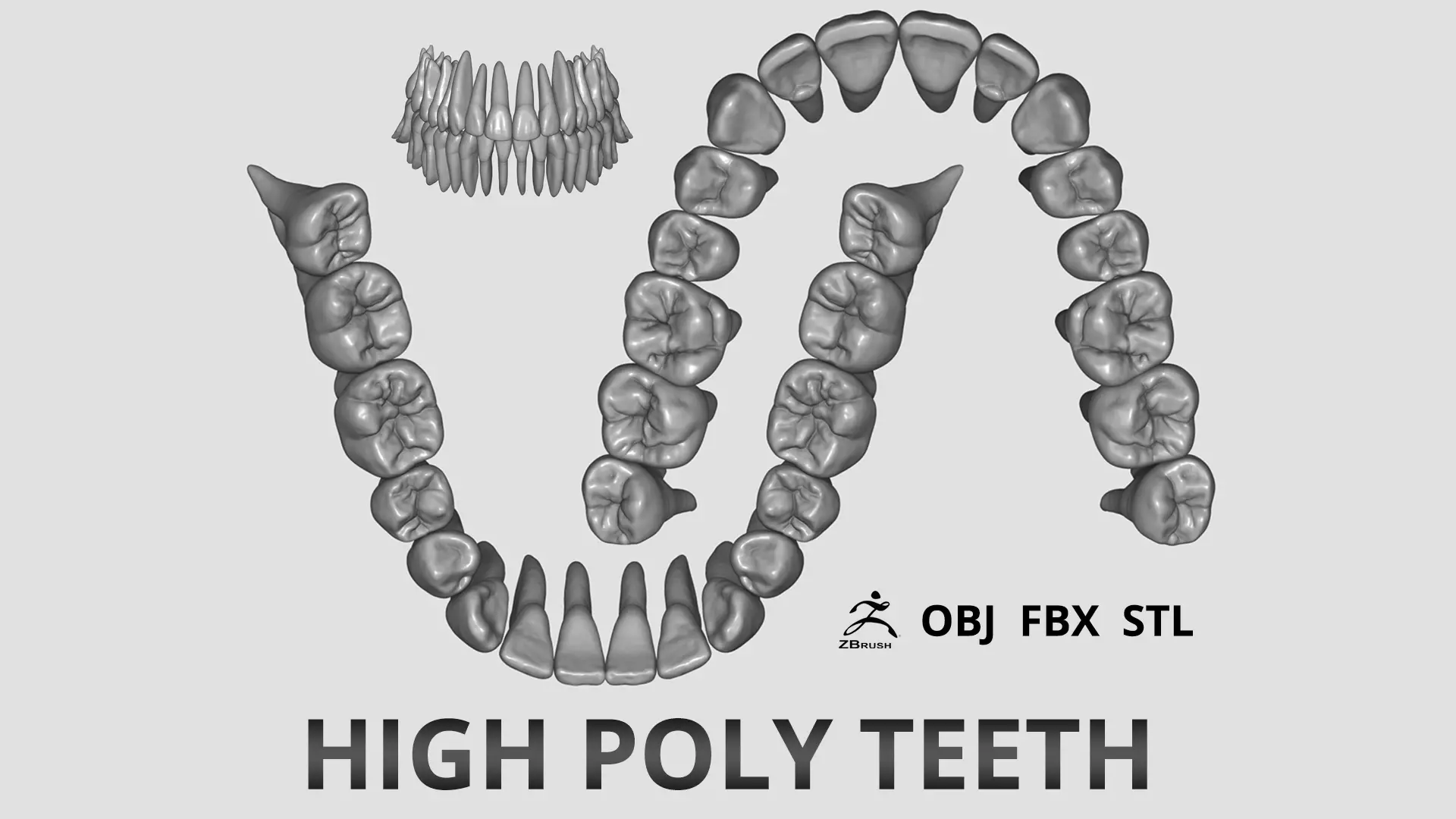 High Poly Teeth tooth 3D model_0