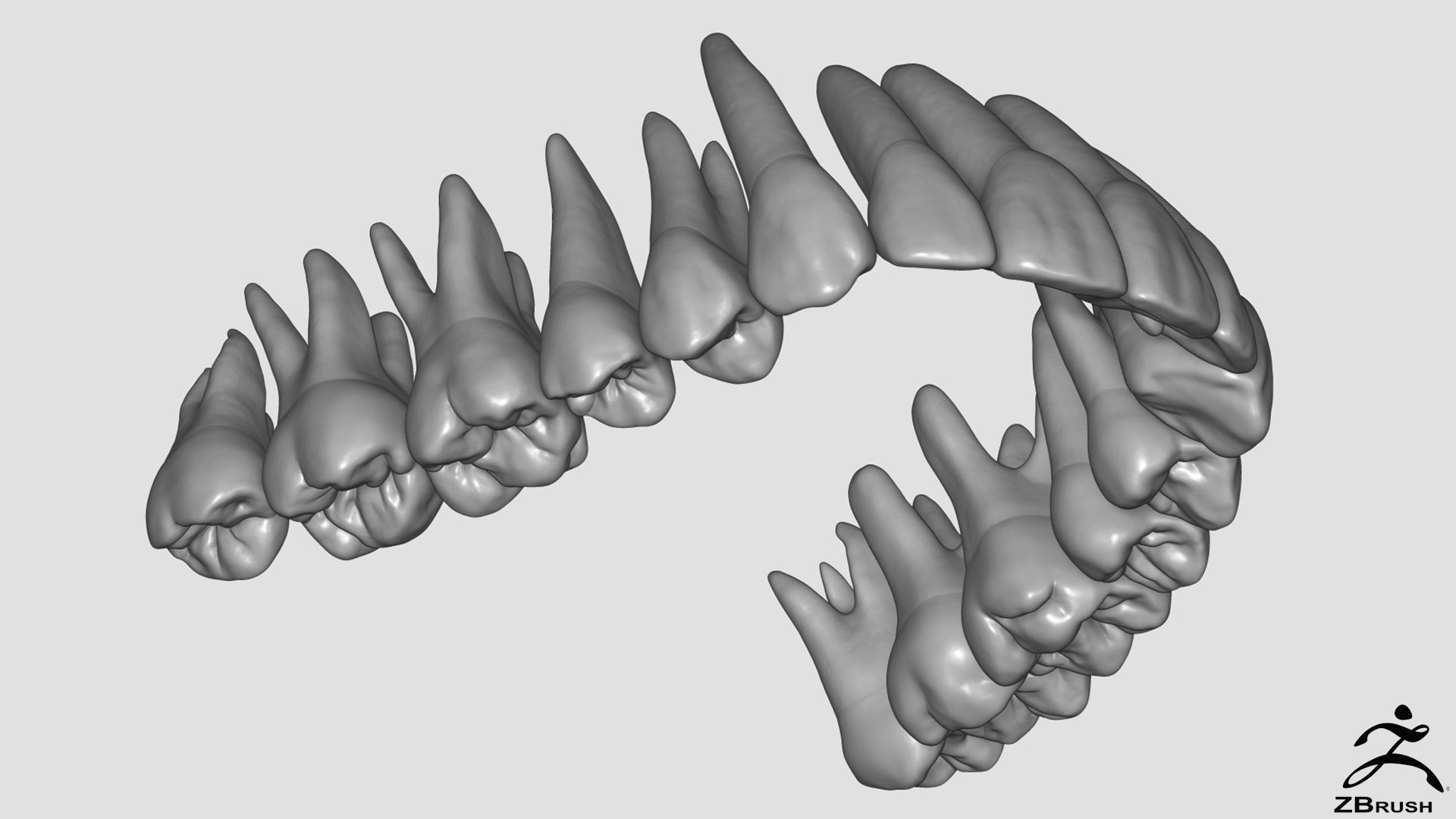 High Poly Teeth tooth 3D model_3