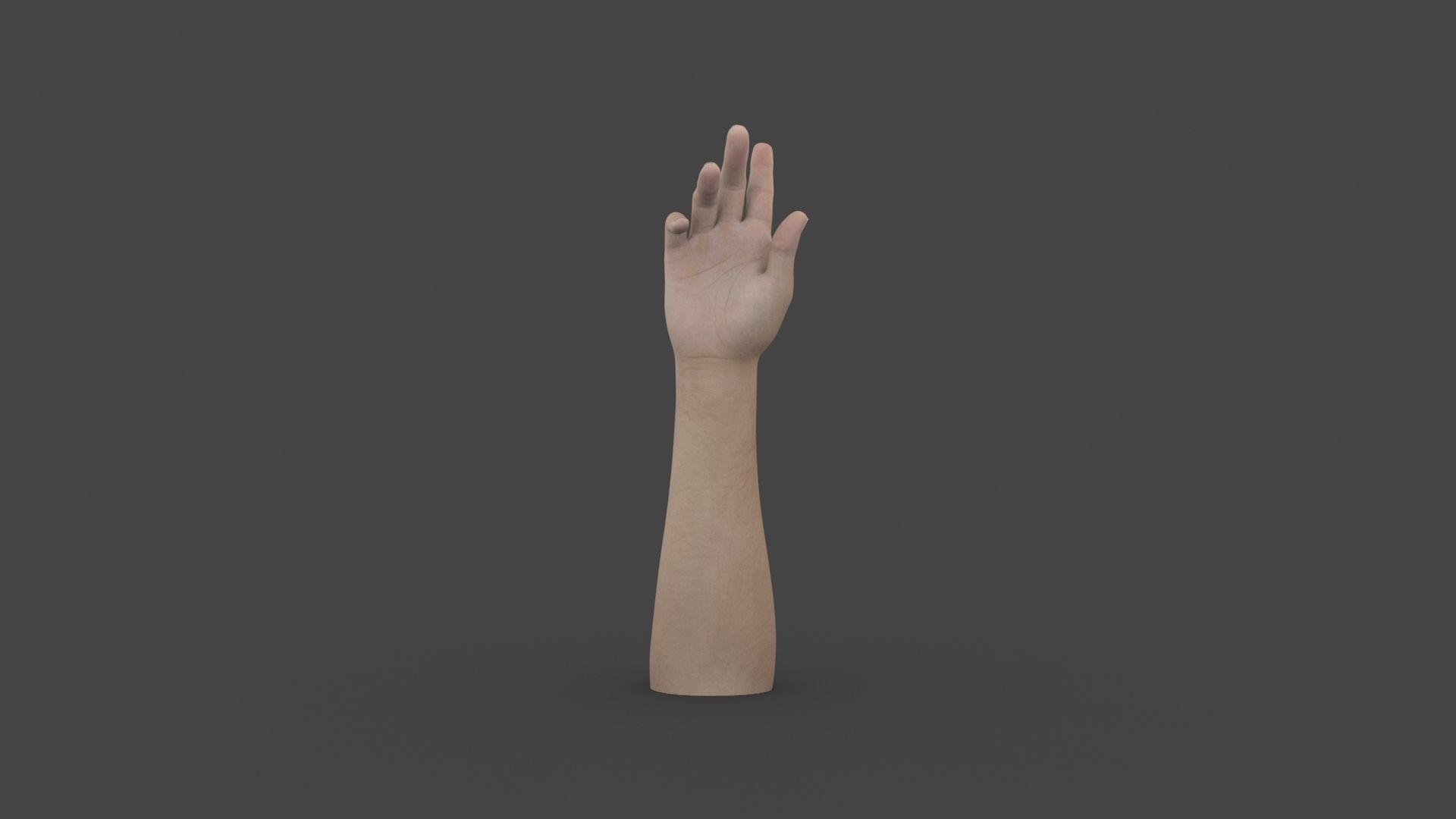 HAND-027 Right Hand 3D model_4