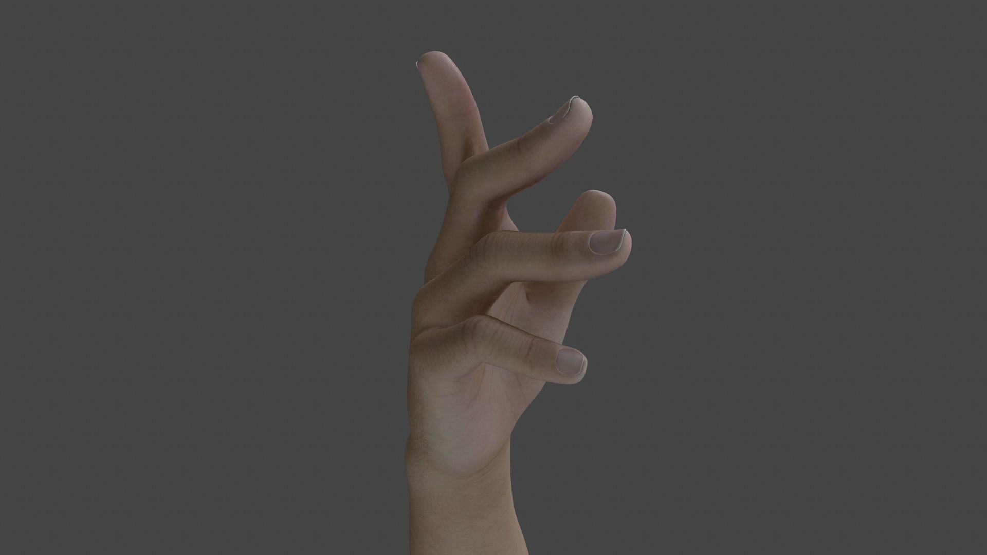 HAND-027 Right Hand 3D model_2