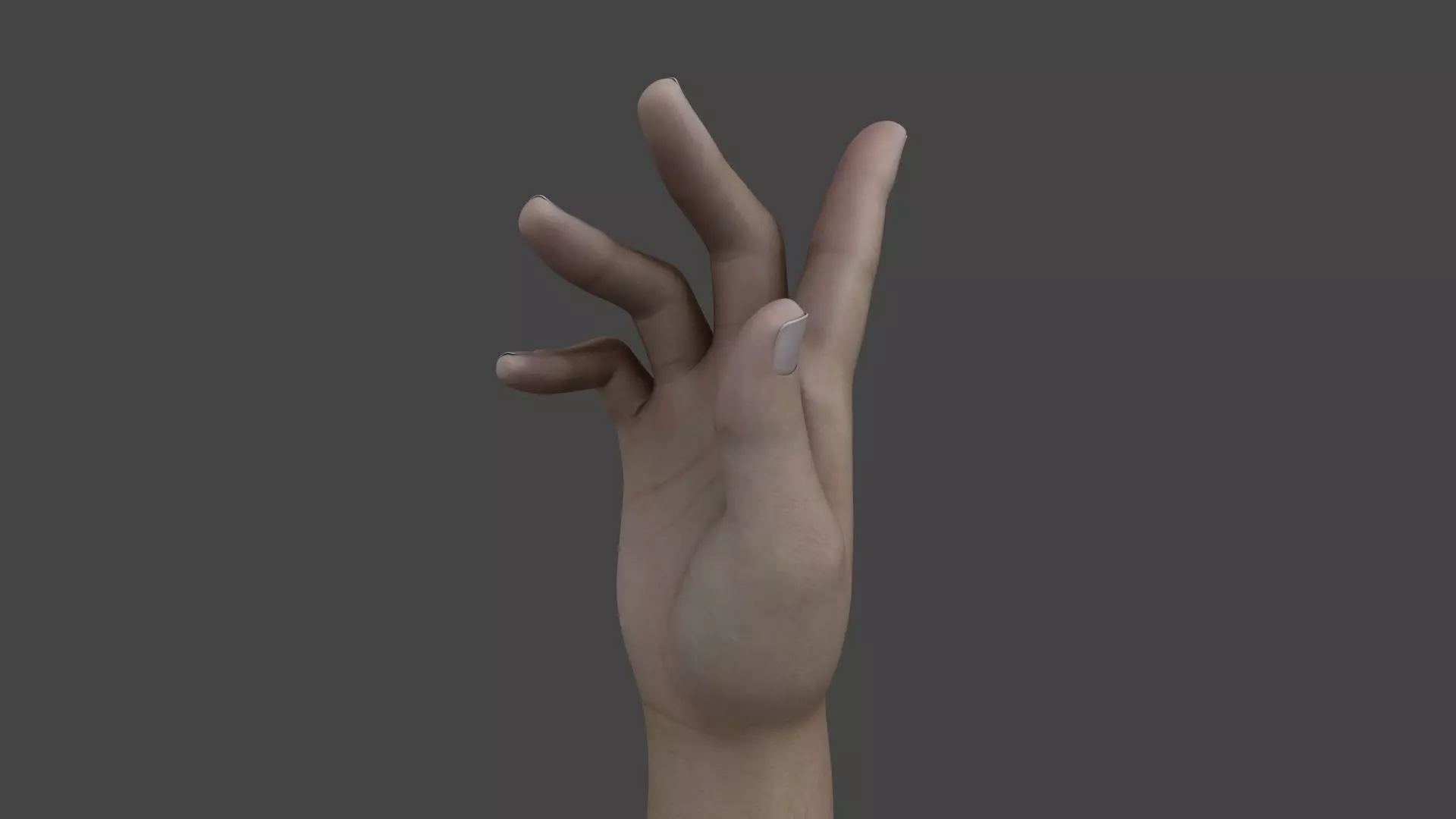 HAND-027 Right Hand 3D model_0