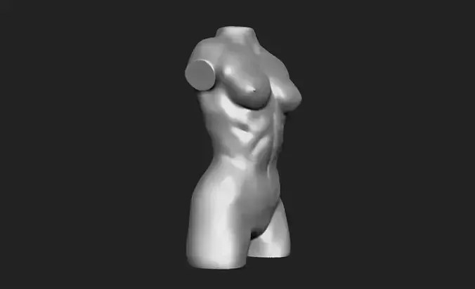 Female Torso - 3D PRINTABLE 3D model