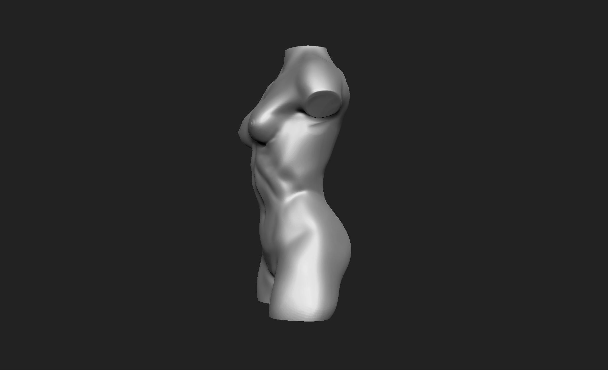 Female Torso - 3D PRINTABLE 3D model_1