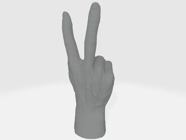 Hand Gesture 3D print model